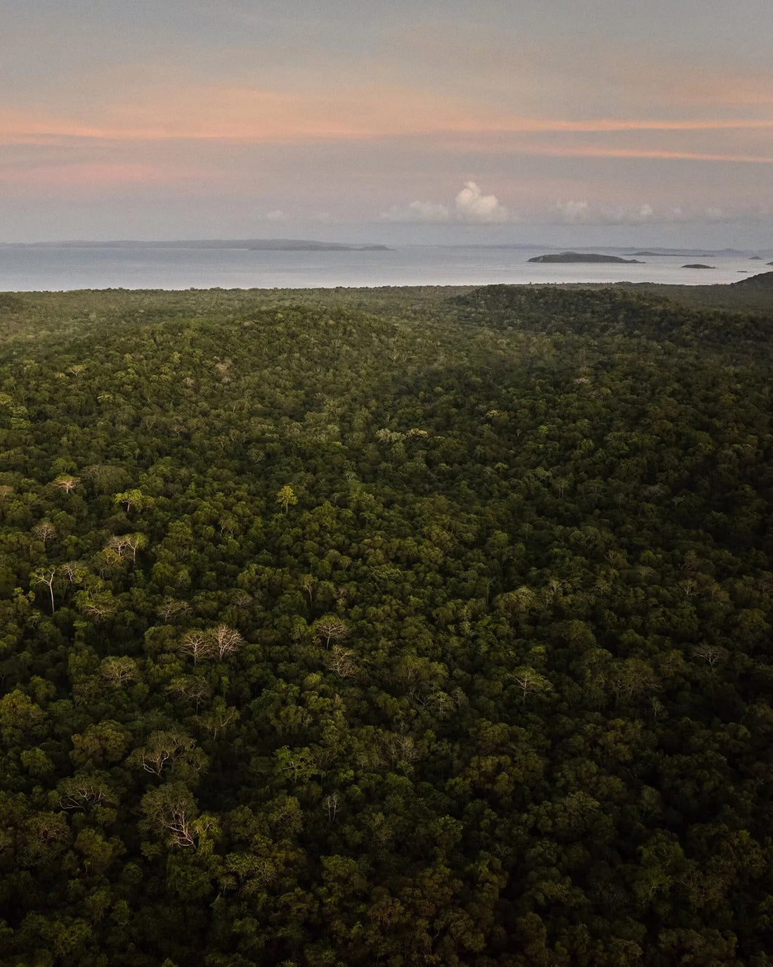 Our environmental impact